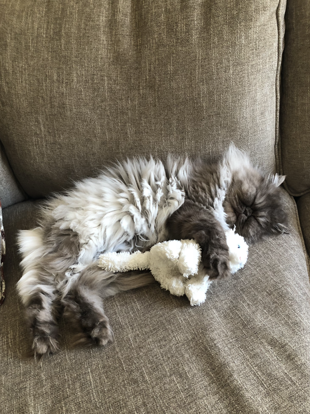 Coco